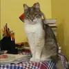 Отзыв от Арина Царева
